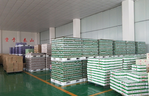 惠州推荐排骨罐头生产